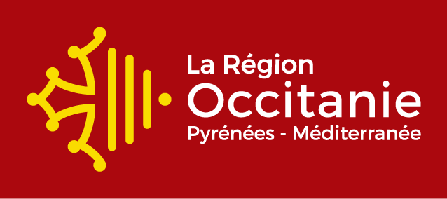 Création site Internet : jusqu’à 75% pris en charge par la région Occitanie (2022)