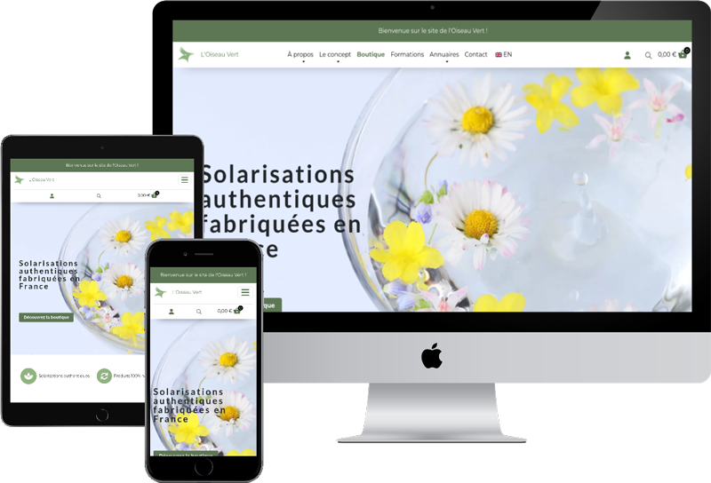 Site Internet L’Oiseau Vert responsive design